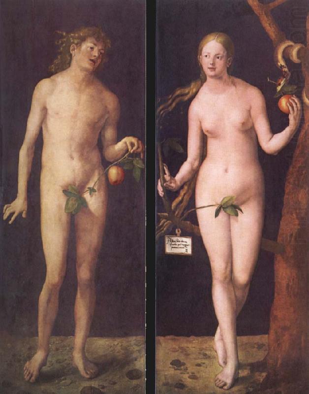 Albrecht Durer Adam and Eve china oil painting image
